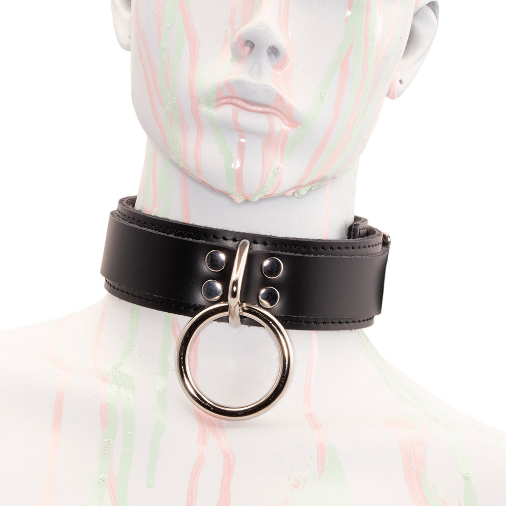 Deluxe Fleece Lined Collar - Pawstar DSFusion Collar collar, goth, leather, ship-15, ship-15day