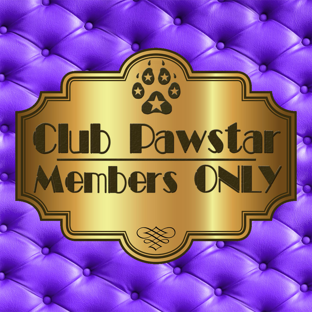 Welcome to Club Pawstar