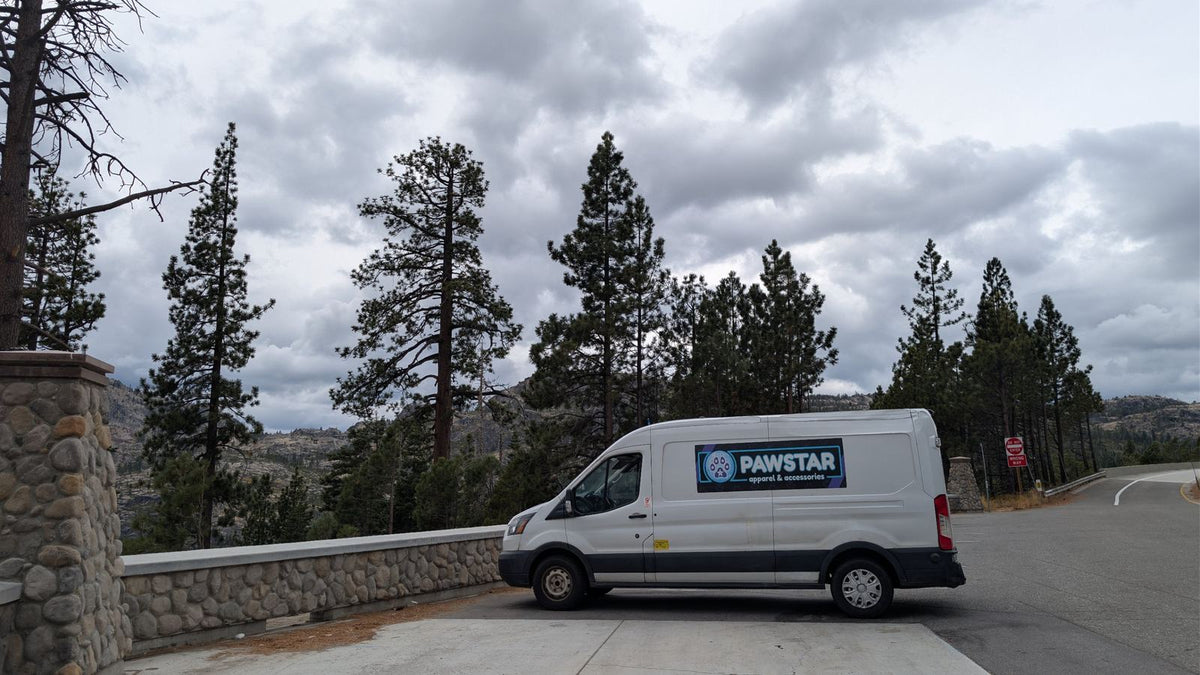 Photo Dump: San Jose - Salt Lake City