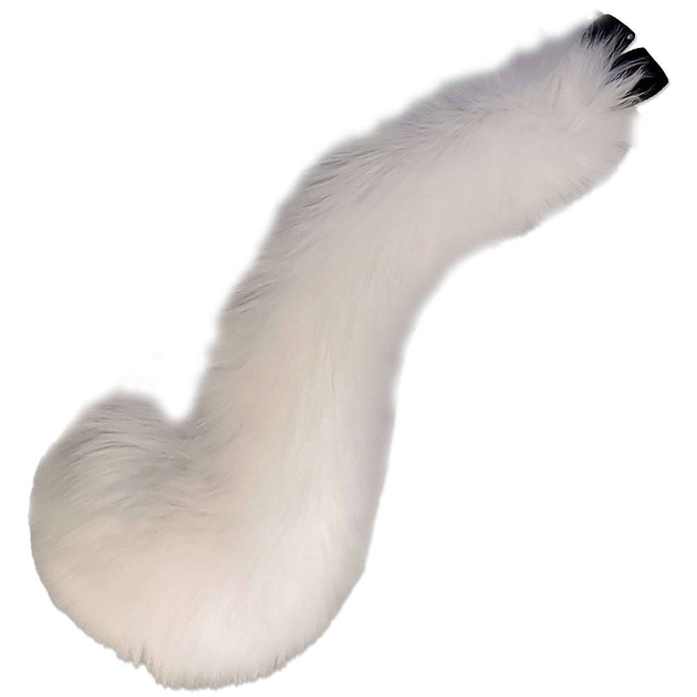 Kitty Curl Tail