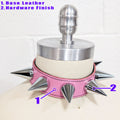 ☆ Color-Swap Helluva Hound Collar