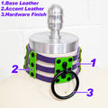 ☆ Color-Swap Ring Cage Collar