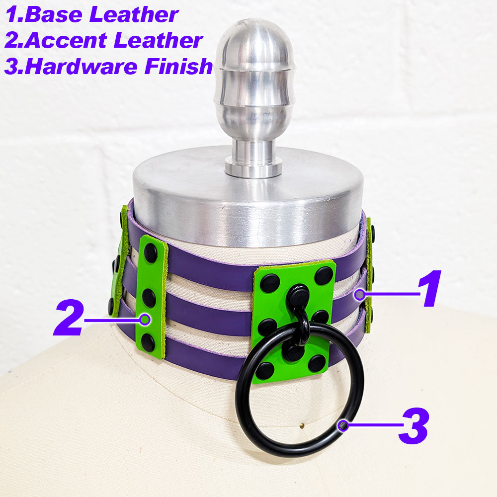 ☆ Color-Swap Ring Cage Collar