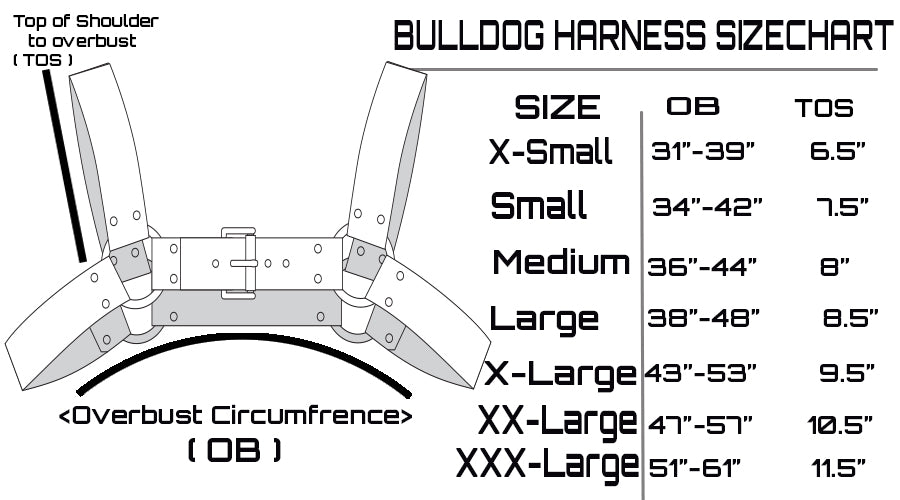 Bulldog Unisex Harness - Pawstar dsfusion Harness Harness, leather, ship-15, ship-30day