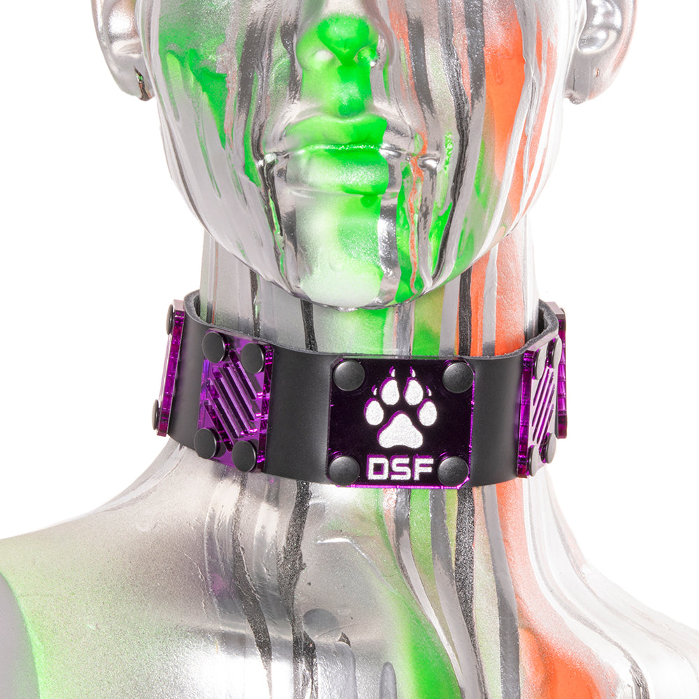 Dissipate Plate Collar - Pawstar dsfusion collar cyber, leather, ship-15, ship-15day