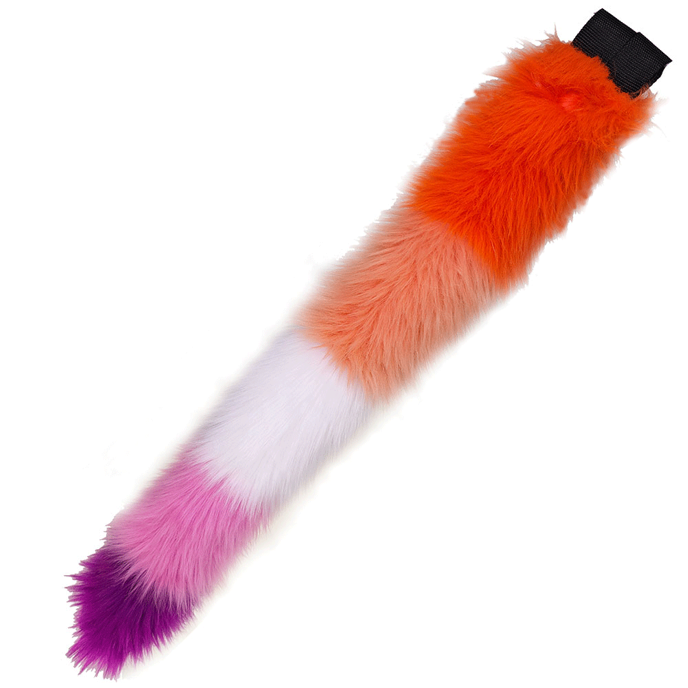 Pride Flag Kitty Tail