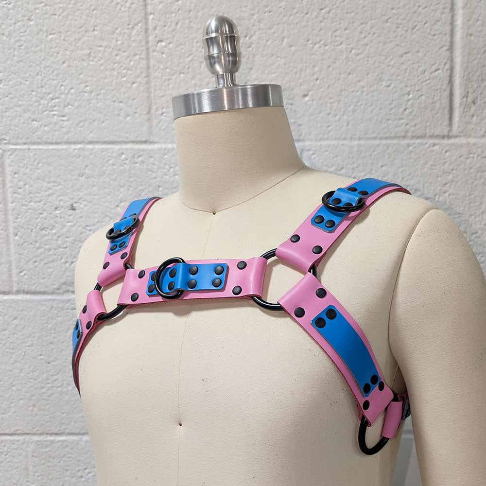 ☆ Color-Swap Bulldog Duo Tone Unisex Harness