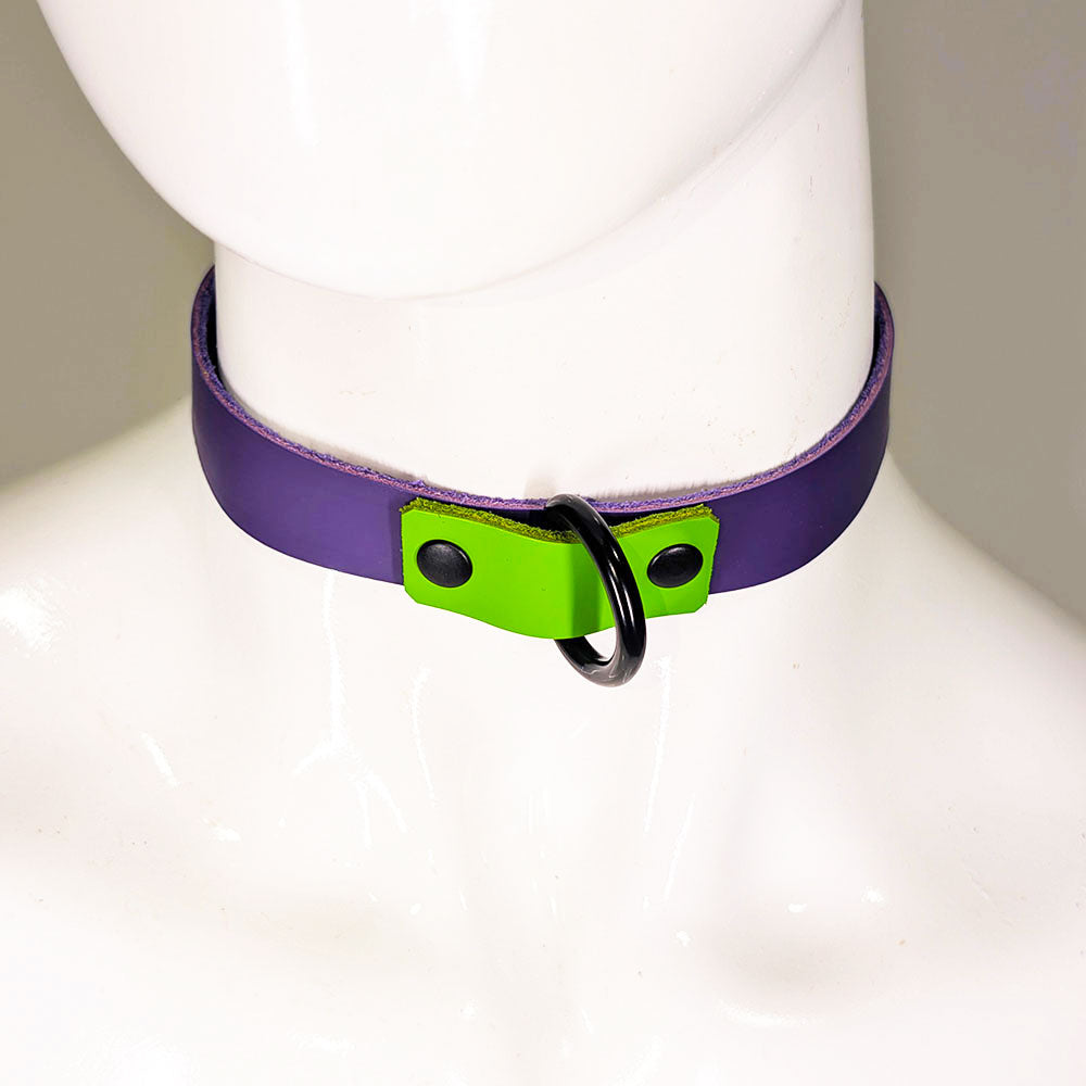 ☆Color-Swap D Ring Collar