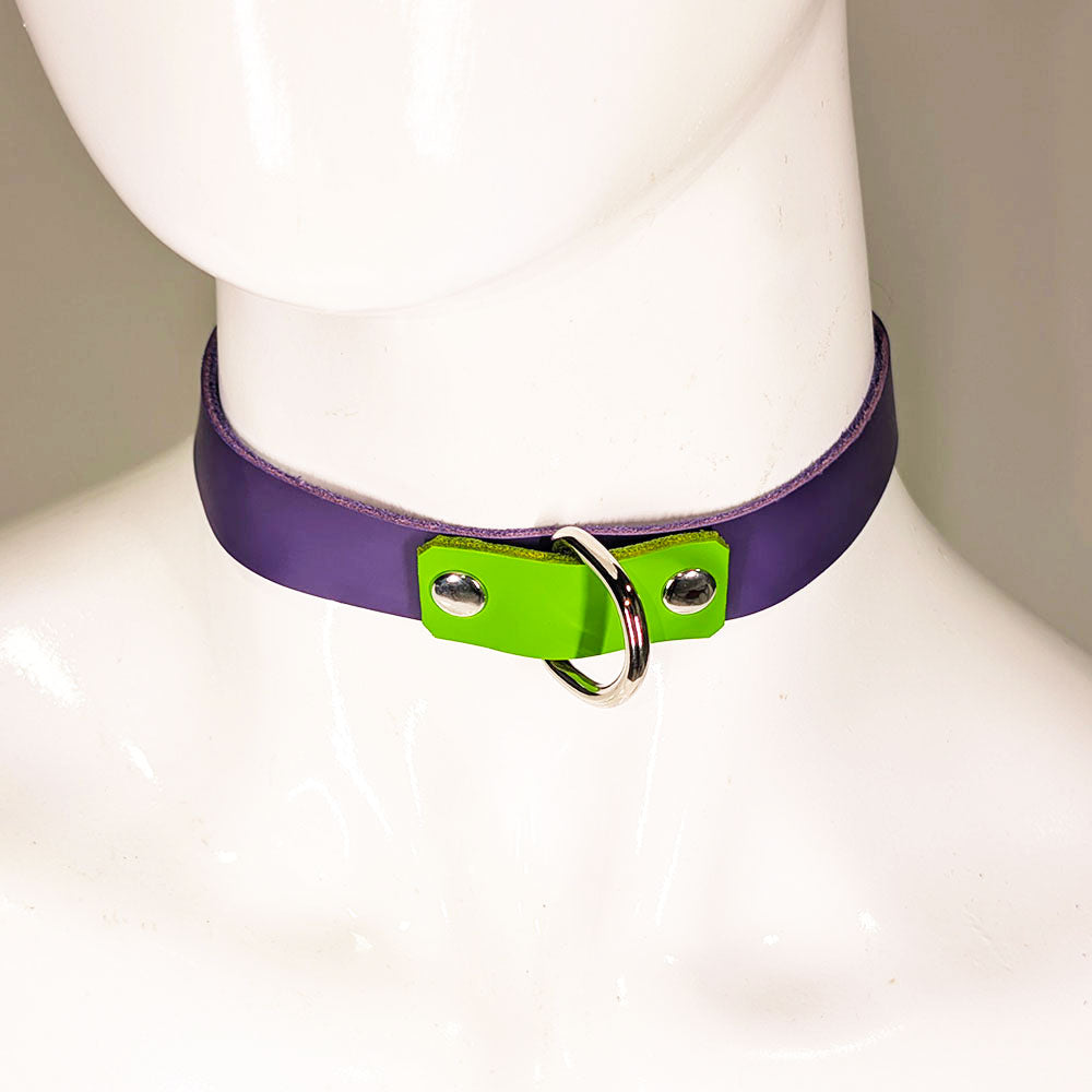 ☆Color-Swap D Ring Collar