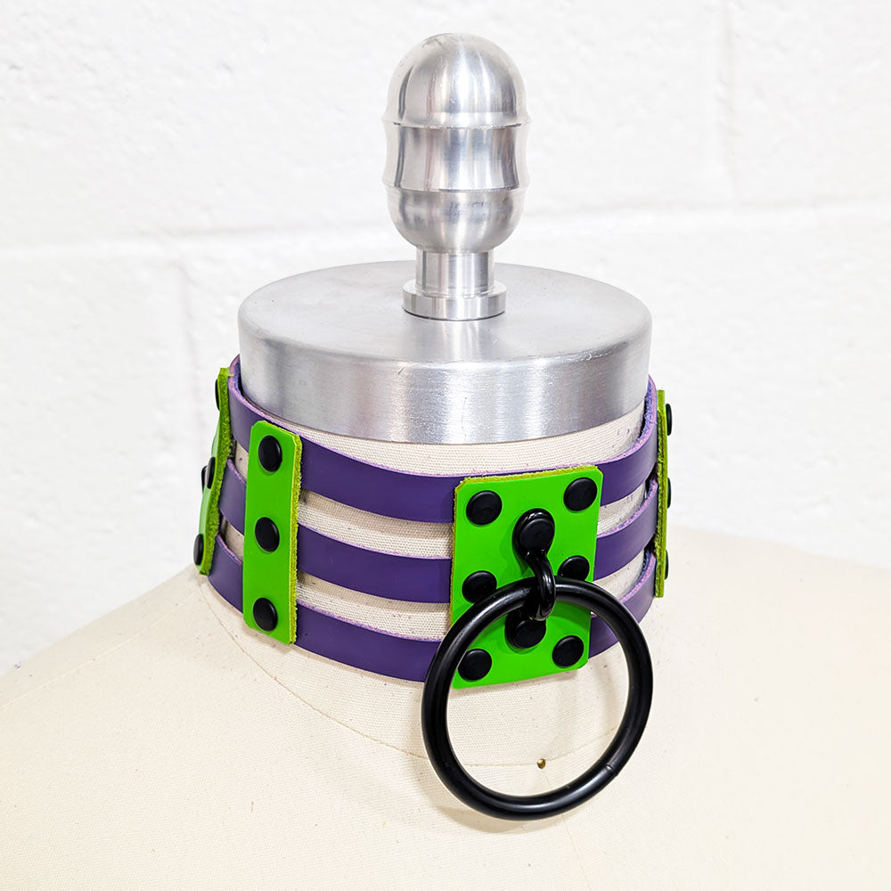 ☆ Color-Swap Ring Cage Collar