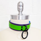 ☆ Color-Swap Deluxe Fleece Lined Collar