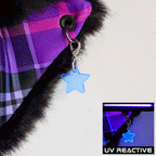 Star Ear Charm
