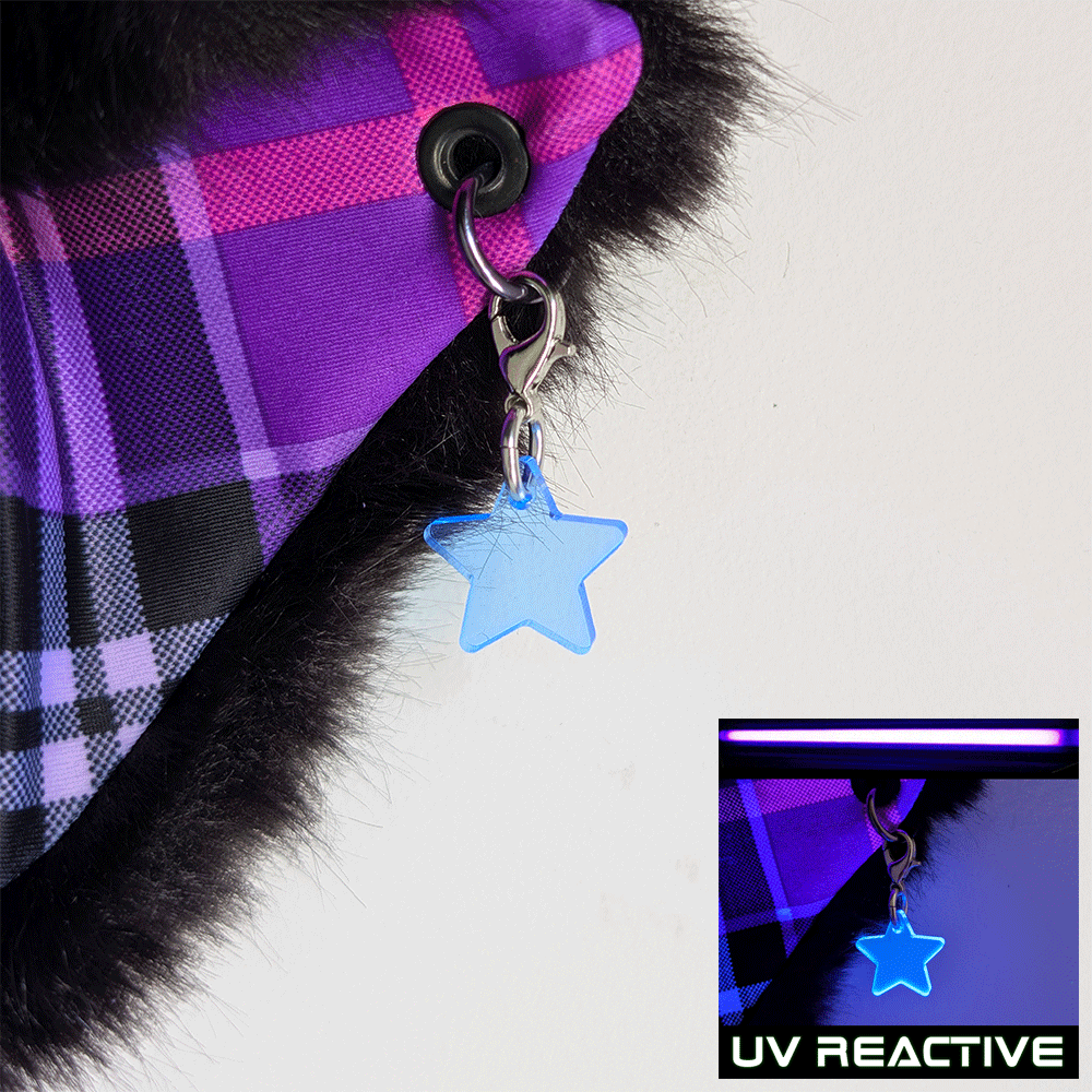 Star Ear Charm