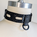 Rogue Cage Collar