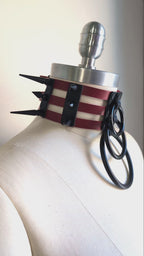 ☆ Color-Swap Spike Waterfall Cage Collar