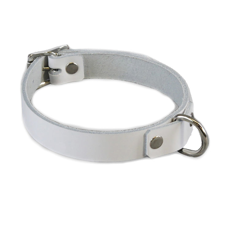 white pawstar leather d-ring collar made in the usa of top grain latigo leather for fans of furry cosplay costumes and alt fashion