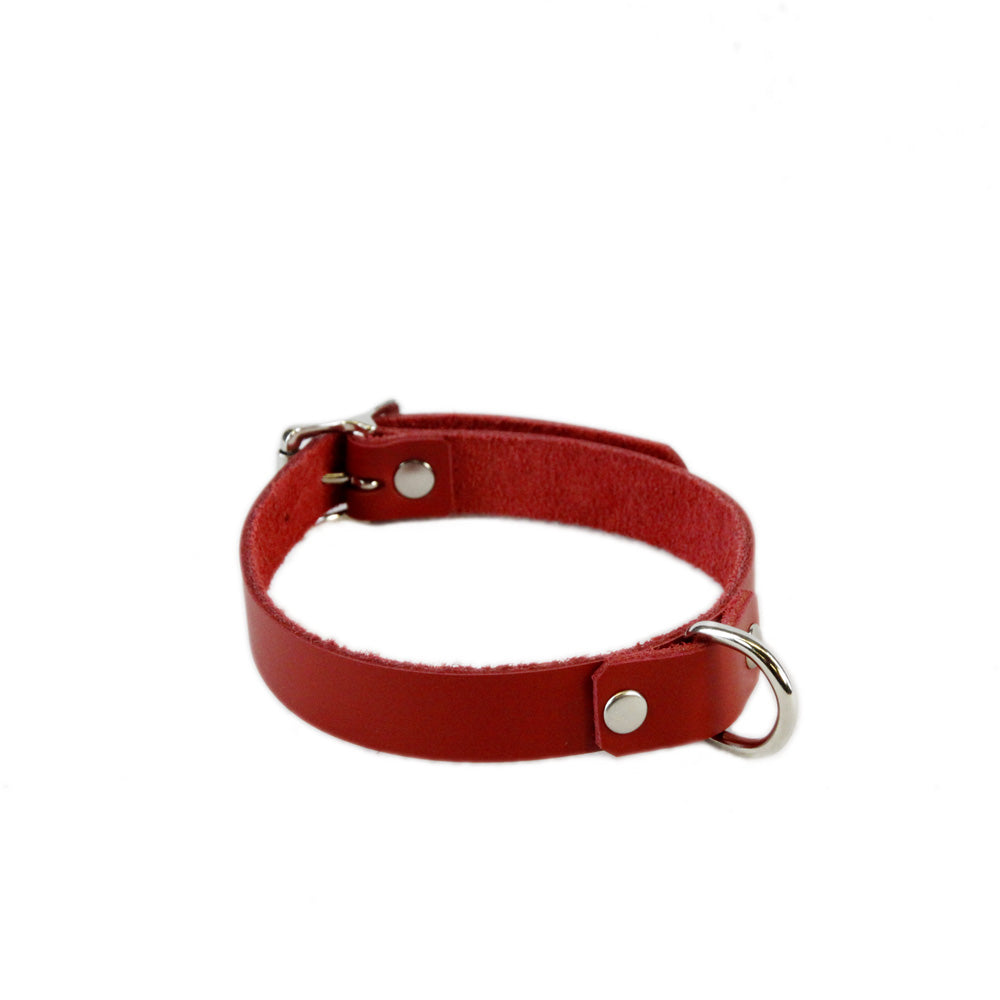 red pawstar leather d-ring collar made in the usa of top grain latigo leather for fans of furry cosplay costumes and alt fashion