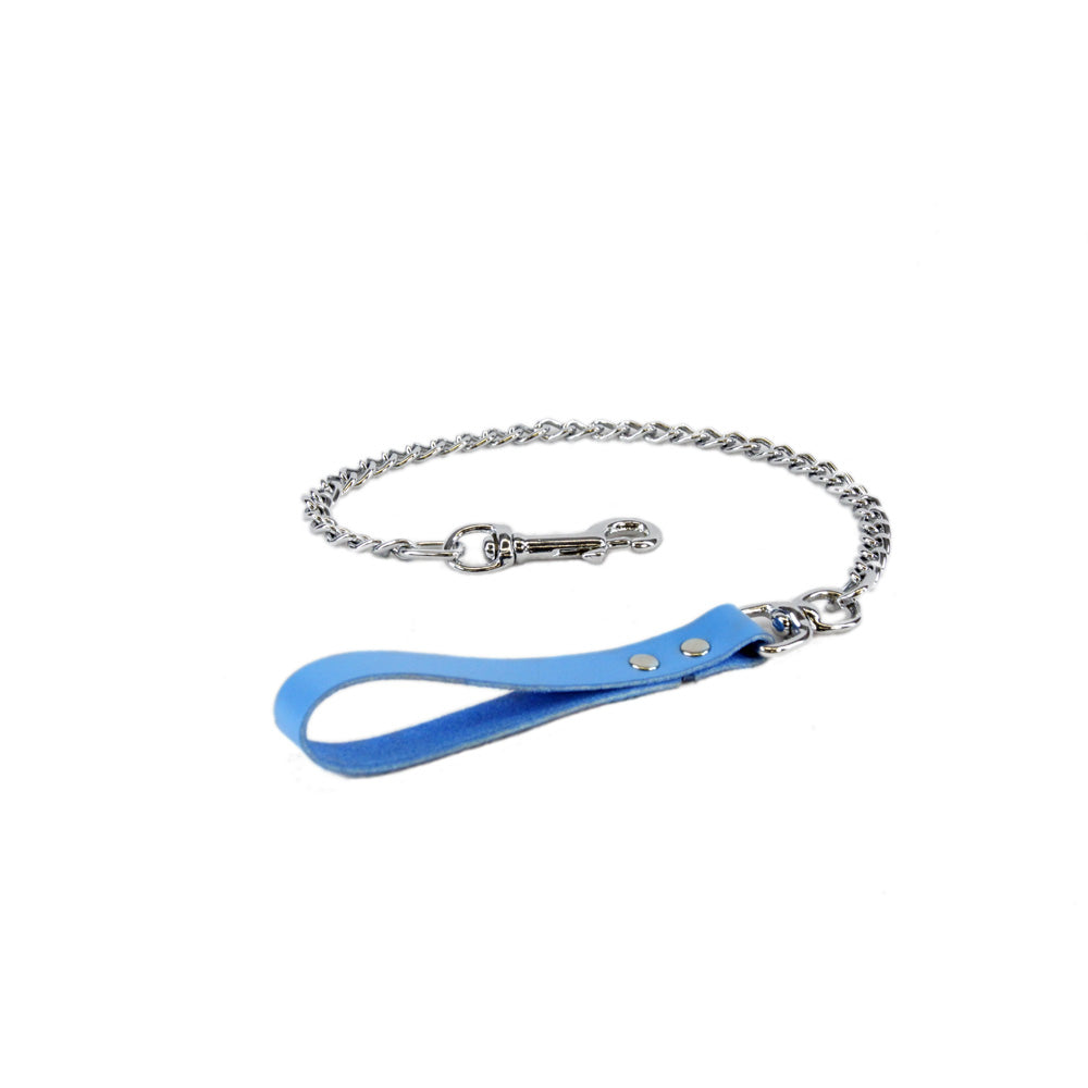 pastel light blue Pawstar leather handled metal leash.
